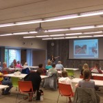 Elyse presenting to a group