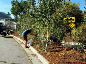 Volunteers mulching at the 8th Street Pocket Park in Missoula