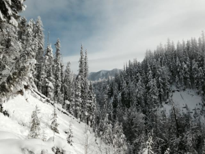 Winter hiking in Glacier National Park