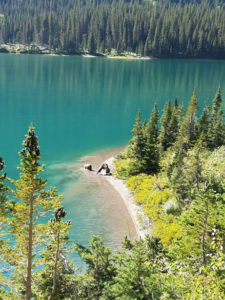 Mama bear and her cubs playing in a lake